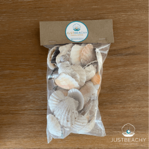 Craft Shell Packs from Just Beachy Gifting