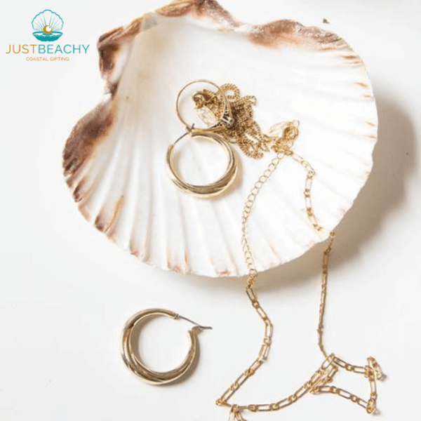 Deep Scallop seashell usage inspiration from Just Beachy Gifting