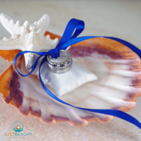 Lions Paw Seashell Beach Wedding Inspiration from Just Beachy Gifting