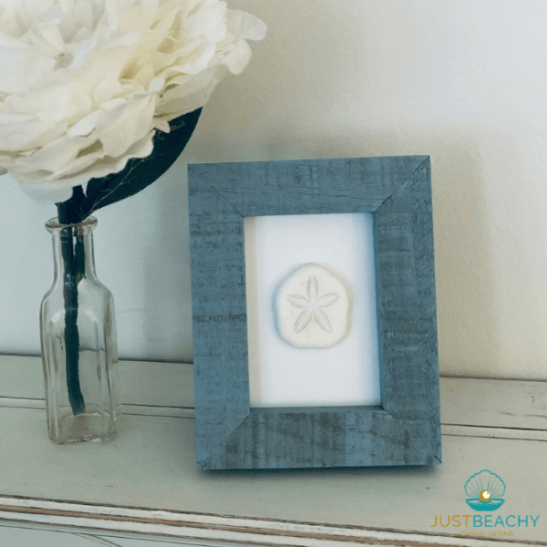 Sand Dollar Crafting Idea from Just Beachy Gifting